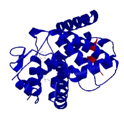 Image of CATH 2hc4