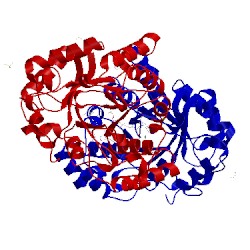 Image of CATH 2hdj