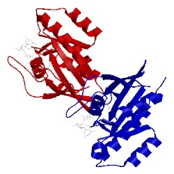 Image of CATH 2hei