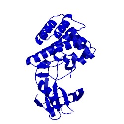 Image of CATH 2hel