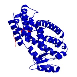 Image of CATH 2hfp