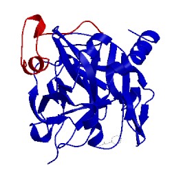 Image of CATH 2hgt