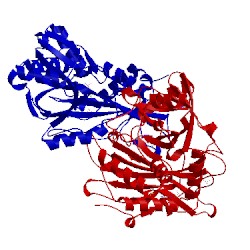 Image of CATH 2hgx