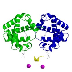 Image of CATH 2hhb