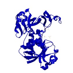 Image of CATH 2hki