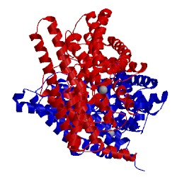 Image of CATH 2hlf