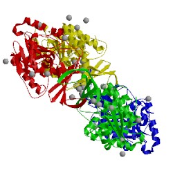 Image of CATH 2hlz