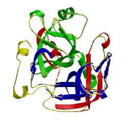 Image of CATH 2hnt