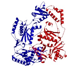 Image of CATH 2hnz