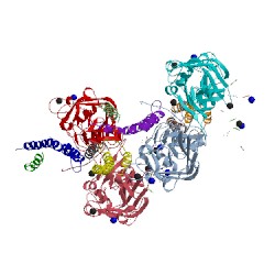 Image of CATH 2hod