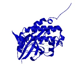 Image of CATH 2hog
