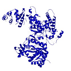 Image of CATH 2hqa
