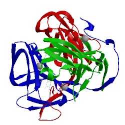 Image of CATH 2hqu