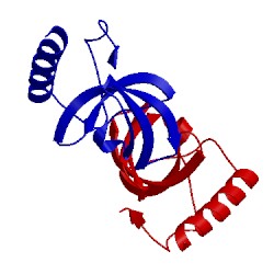 Image of CATH 2hqx