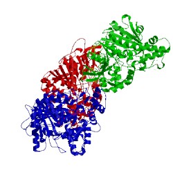 Image of CATH 2hrr