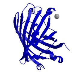 Image of CATH 2hrs