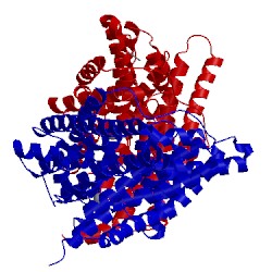 Image of CATH 2htk