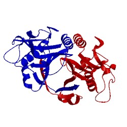 Image of CATH 2huz