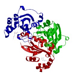 Image of CATH 2hve