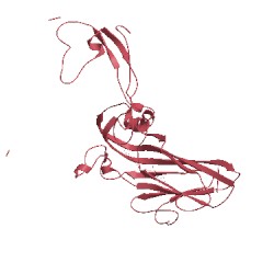 Image of CATH 2hwe