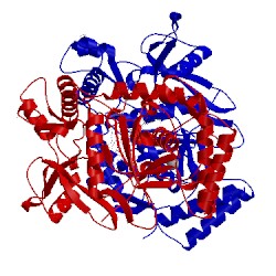 Image of CATH 2hx2