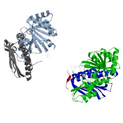 Image of CATH 2hyi