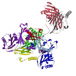 Image of CATH 2hzs