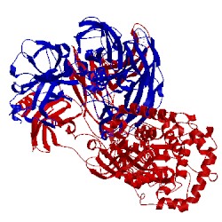 Image of CATH 2i07