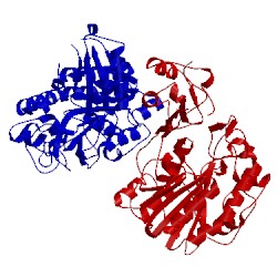 Image of CATH 2i09