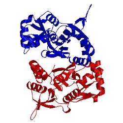 Image of CATH 2i0c