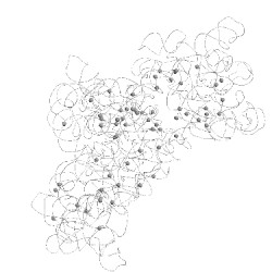 Image of CATH 2i2p