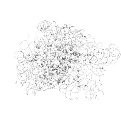 Image of CATH 2i2v