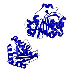 Image of CATH 2i4i