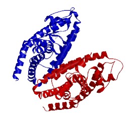 Image of CATH 2i4p