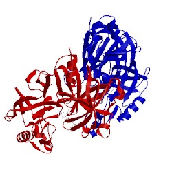 Image of CATH 2i4q