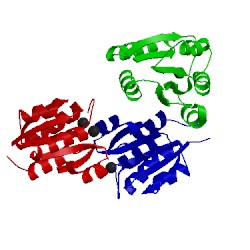 Image of CATH 2i6f