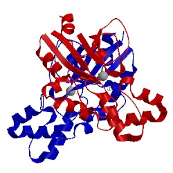 Image of CATH 2i7d