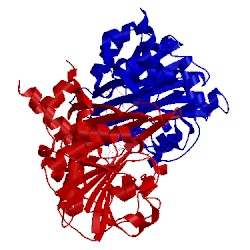 Image of CATH 2i99