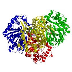 Image of CATH 2ib7