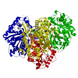 Image of CATH 2ib8