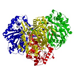 Image of CATH 2ib9