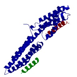 Image of CATH 2ibf