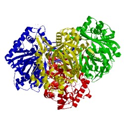 Image of CATH 2ibu