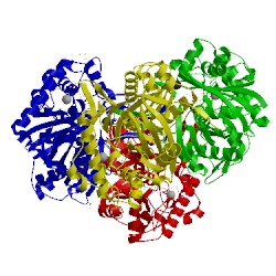 Image of CATH 2iby