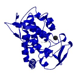 Image of CATH 2icv