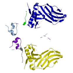 Image of CATH 2icw