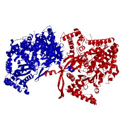 Image of CATH 2iei