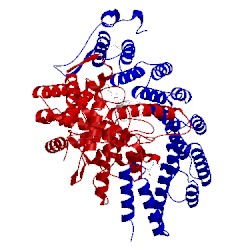 Image of CATH 2iej