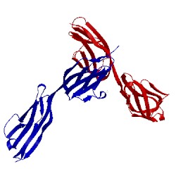 Image of CATH 2iep