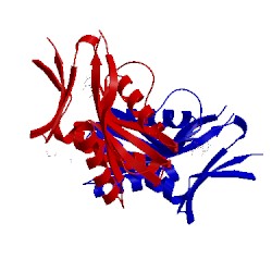 Image of CATH 2igb